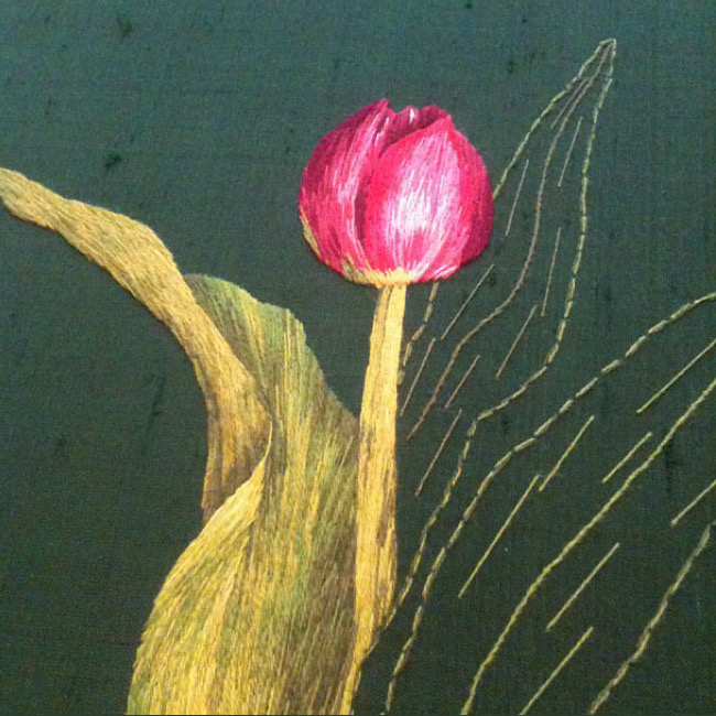 Silk Shading of a Tulip